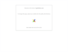 Tablet Screenshot of apiairlines.com